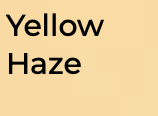 Yellow Haze